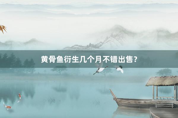 黄骨鱼衍生几个月不错出售？