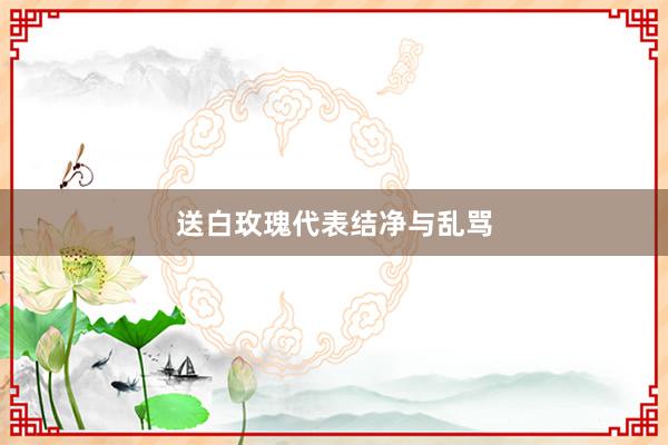 送白玫瑰代表结净与乱骂