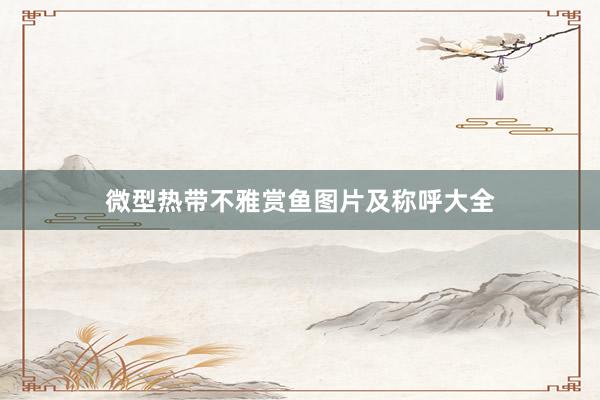 微型热带不雅赏鱼图片及称呼大全