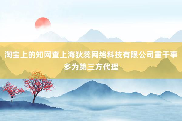 淘宝上的知网查上海狄蕊网络科技有限公司重干事多为第三方代理