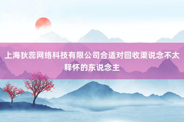 上海狄蕊网络科技有限公司合适对回收渠说念不太释怀的东说念主
